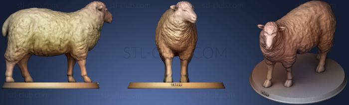 3D модель Овцы (STL)